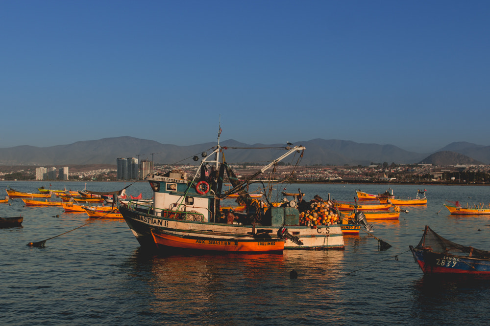 Sigma 35mm F1.4 DG HSM Art sample photo. Coquimbo - iv region - chile photography