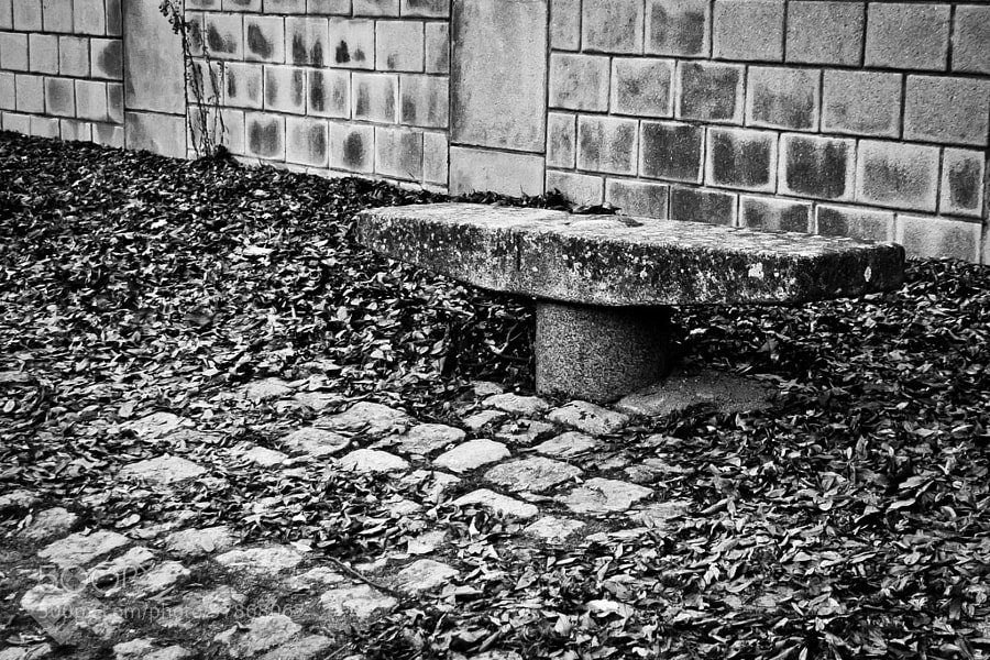 Solitude by Saeed Gholami Shahbandi on 500px