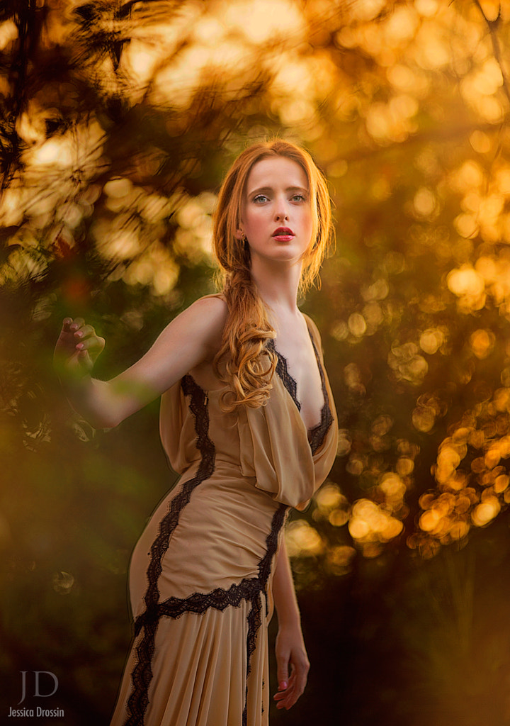 Autumn Light by Jessica Drossin on 500px.com