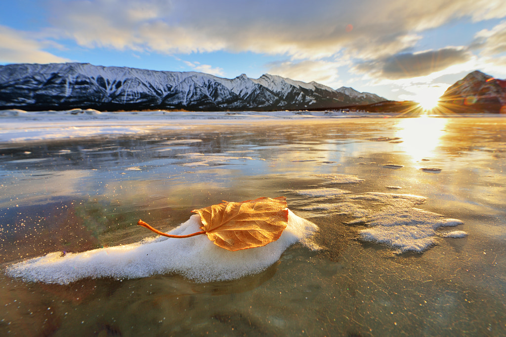 Autumn Memory by on 500px.com