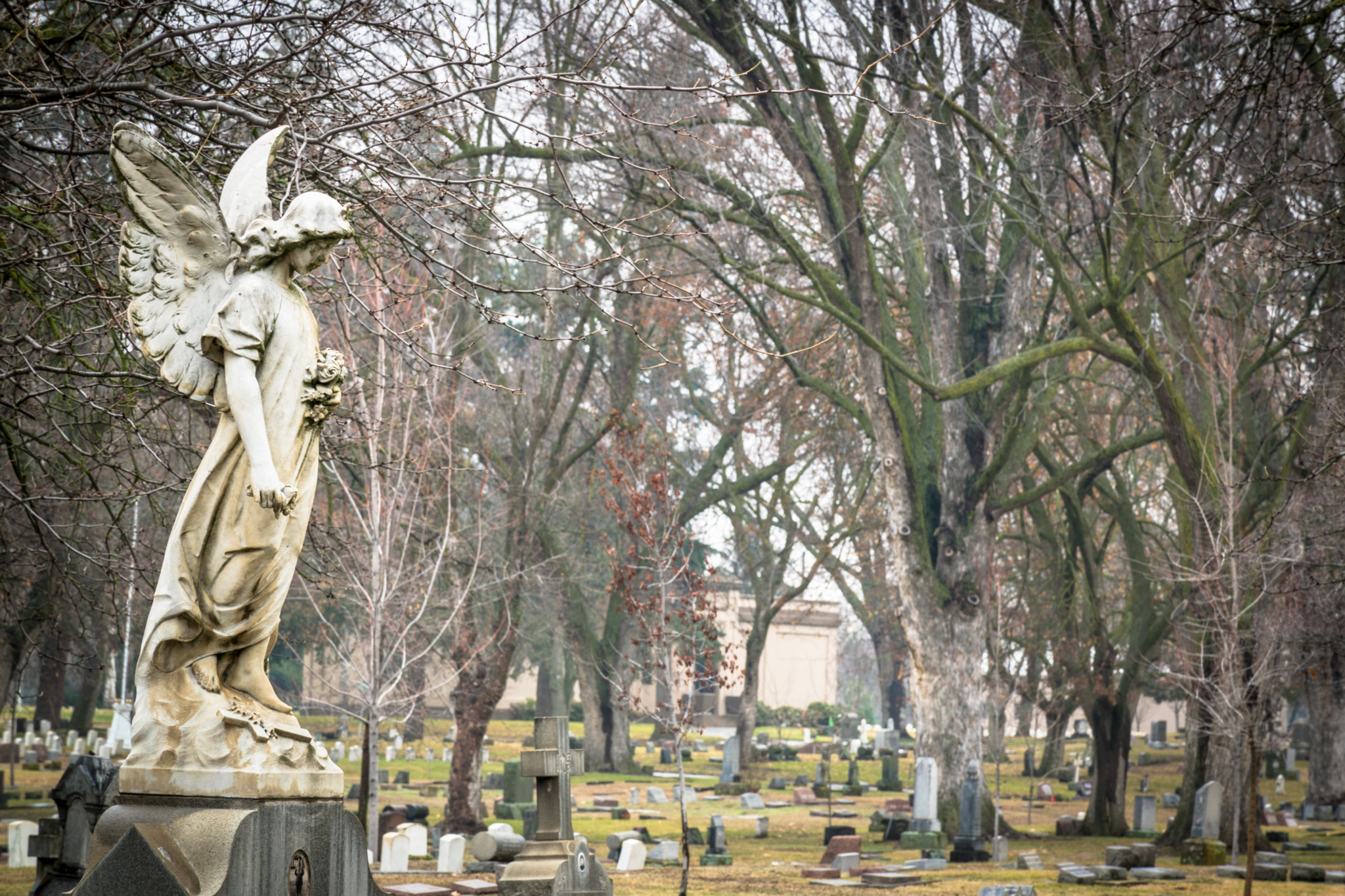 Angels watching over us