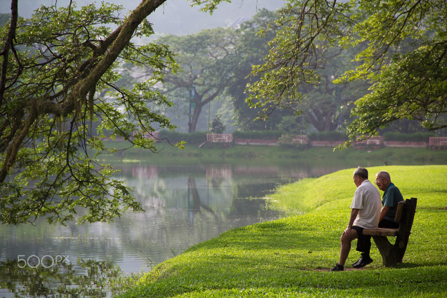 Download Old Friend 敘說當年 by Chen Ong / 500px