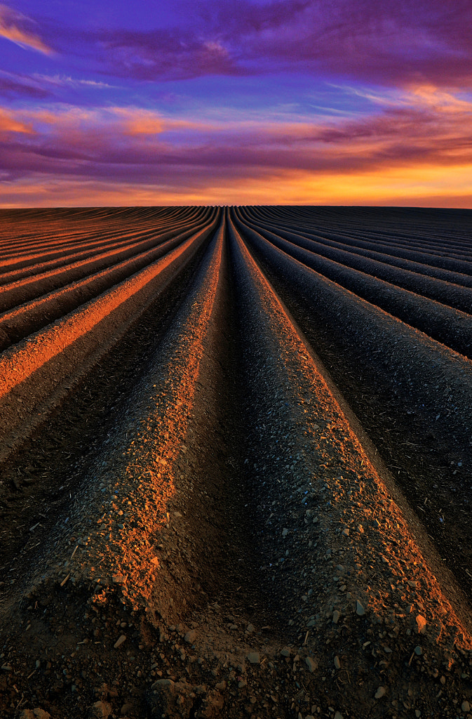 Sunset Furrows by Jack Clarke / 500px