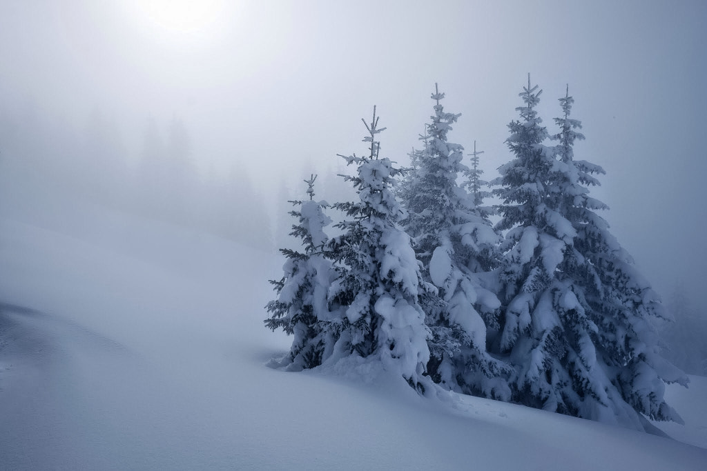 Plateau des Glières by Franck Chevallereau on 500px.com