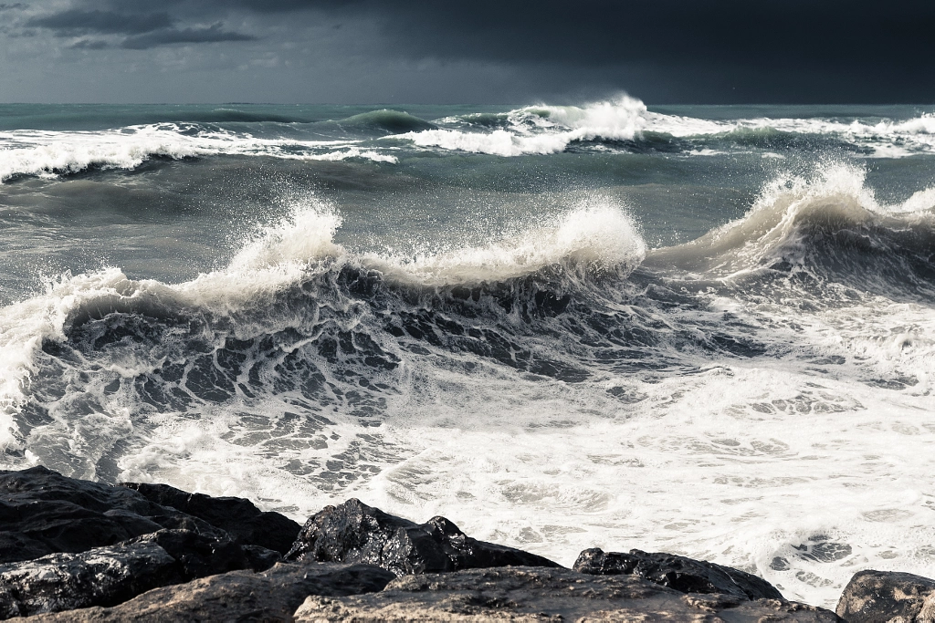 Too Strong by Andrea LD on 500px.com