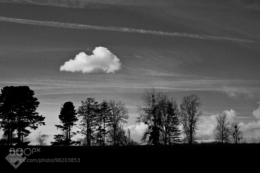 Lonely Cloud by Saeed Gholami Shahbandi on 500px
