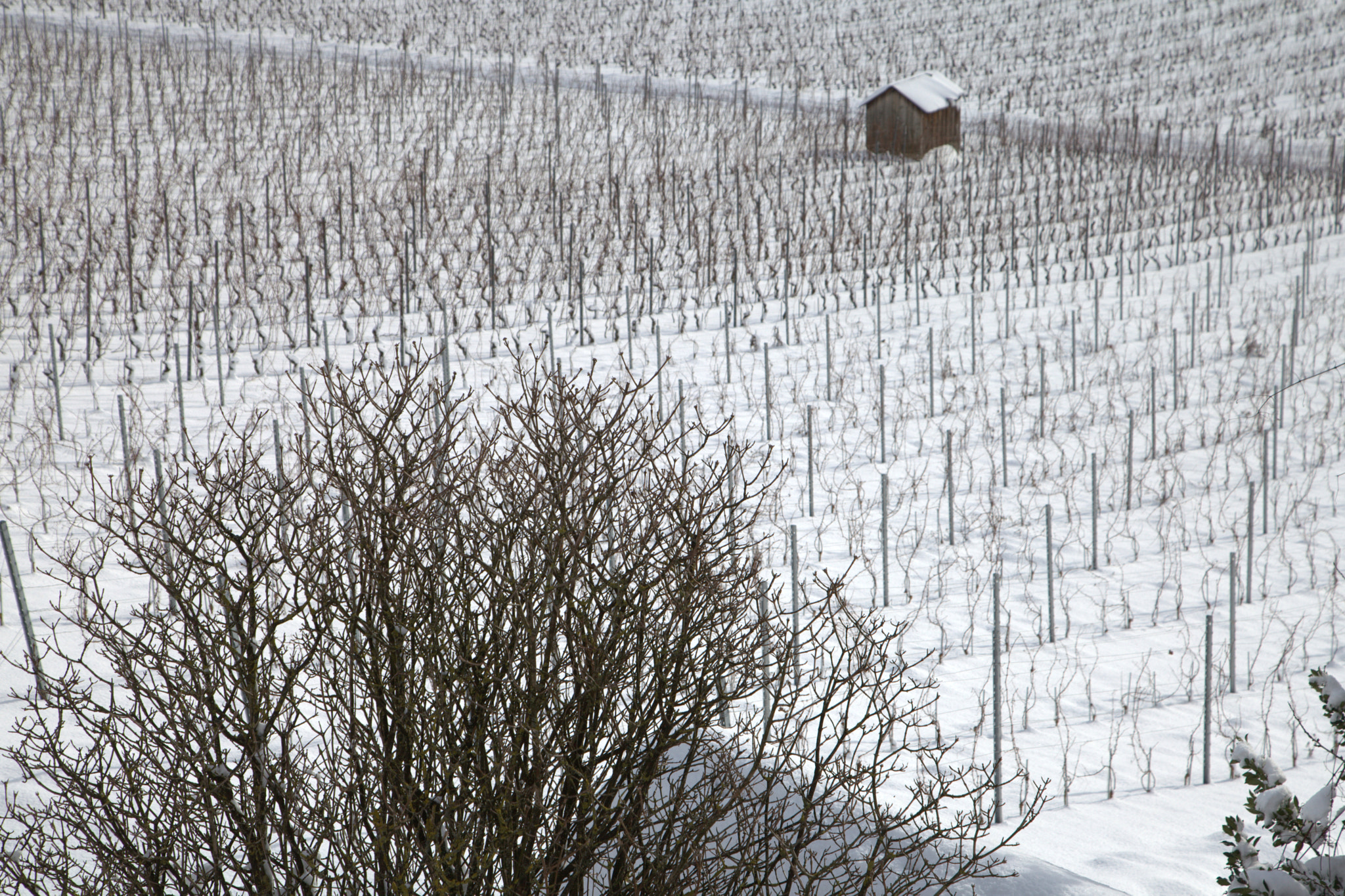 v2?sig=74228876925bc75b2d8f4b71499de7def43e27e766dda5f57c162dae020e71bf