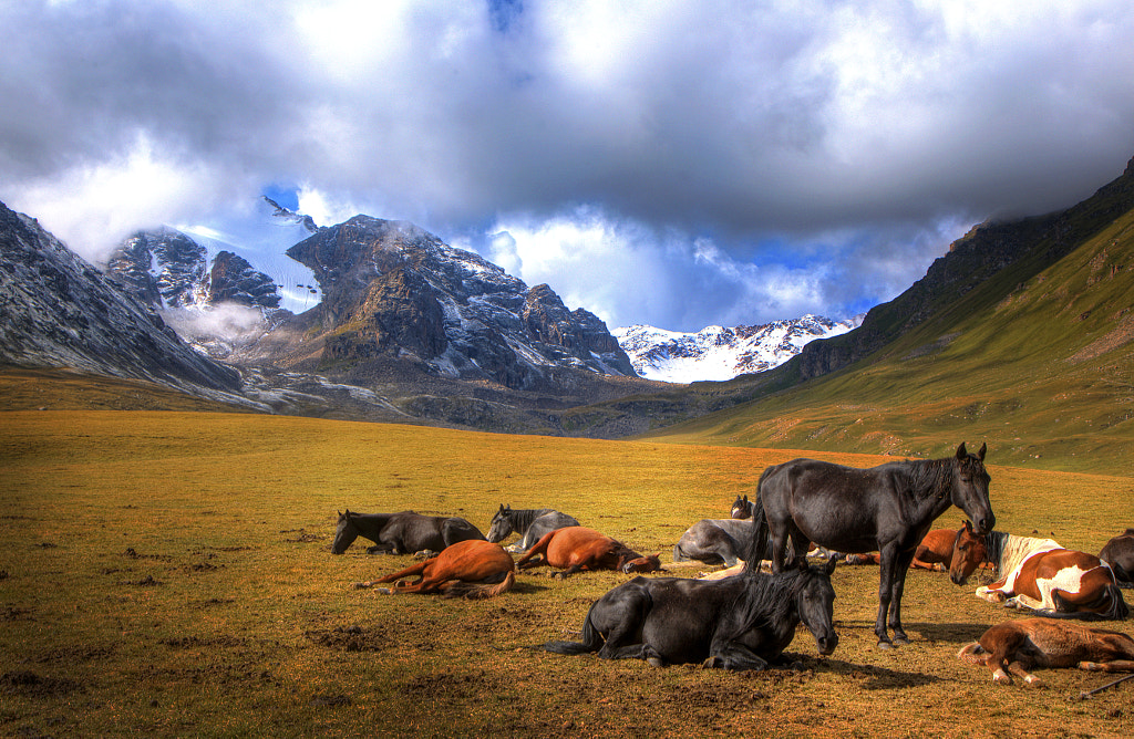 Take me away by Joel Lim on 500px.com