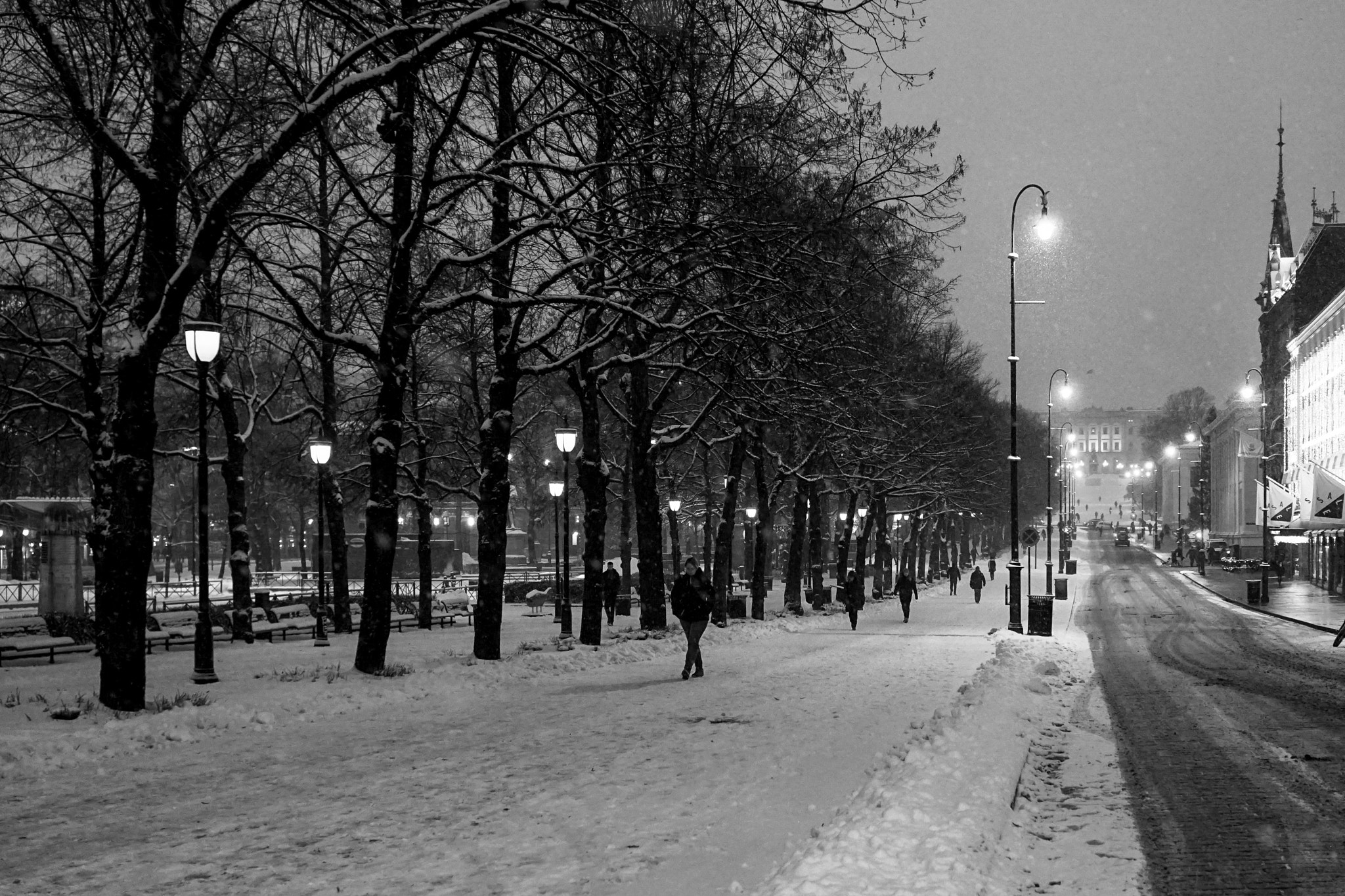 Sony Sonnar T* E 24mm F1.8 ZA sample photo. White morning in oslo photography