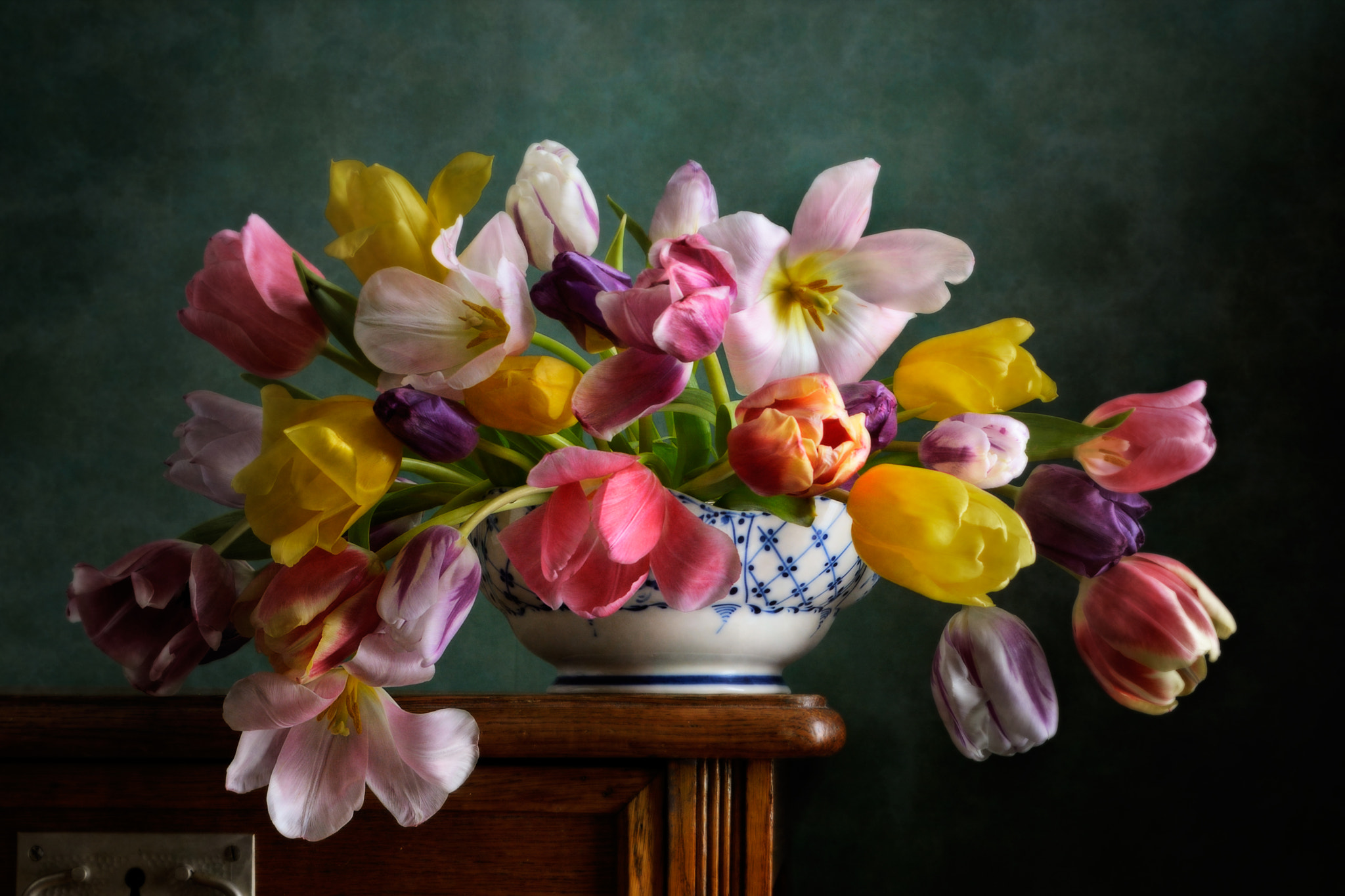 Fading Tulips