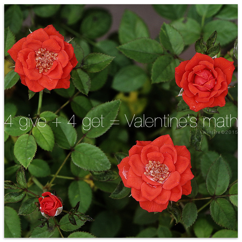 v2?sig=983165724d6e5f4c6472728c0742e61c5af61b39ec9d9fb9981c91c7c2d28085