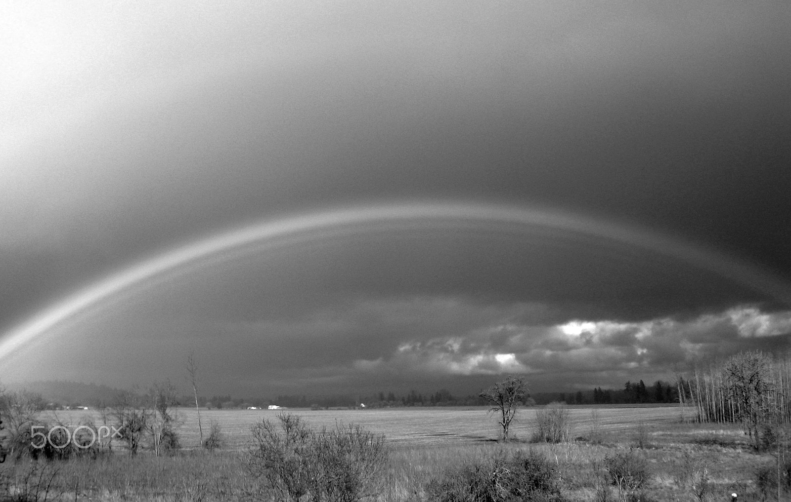 Canon POWERSHOT A560 sample photo. B&w rainbow photography