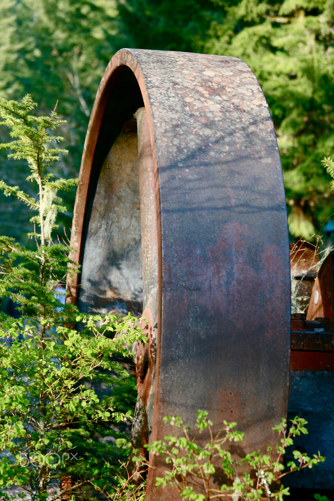Canon EF 28-135mm F3.5-5.6 IS USM sample photo. Wheel in the woods photography