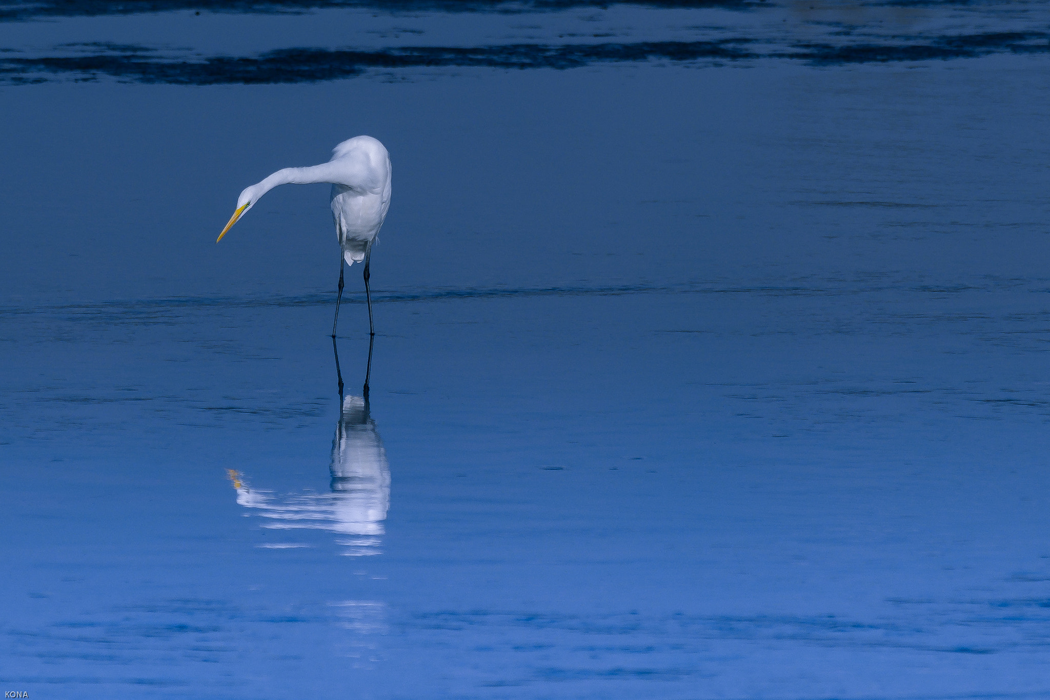 Nikon AF-S Nikkor 400mm F2.8G ED VR II sample photo. Sagi photography