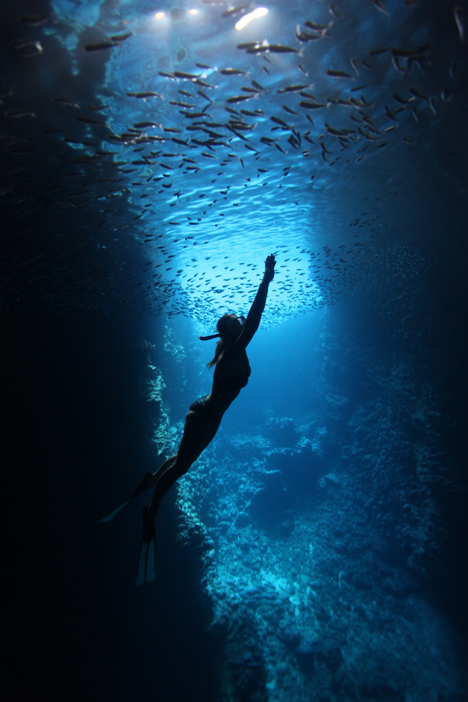 Cave Siren by Scott Portelli / 500px