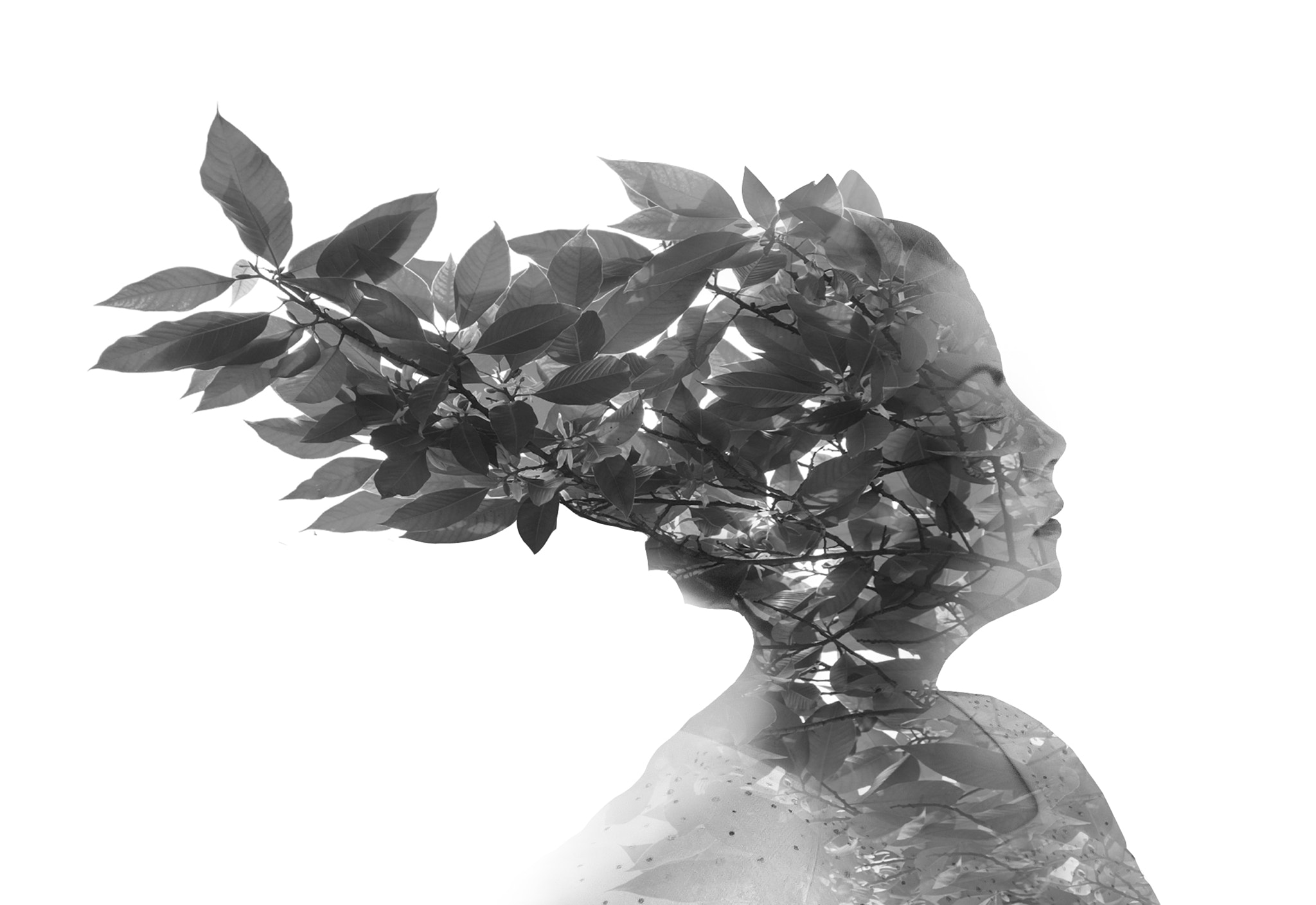 Tree portrait
