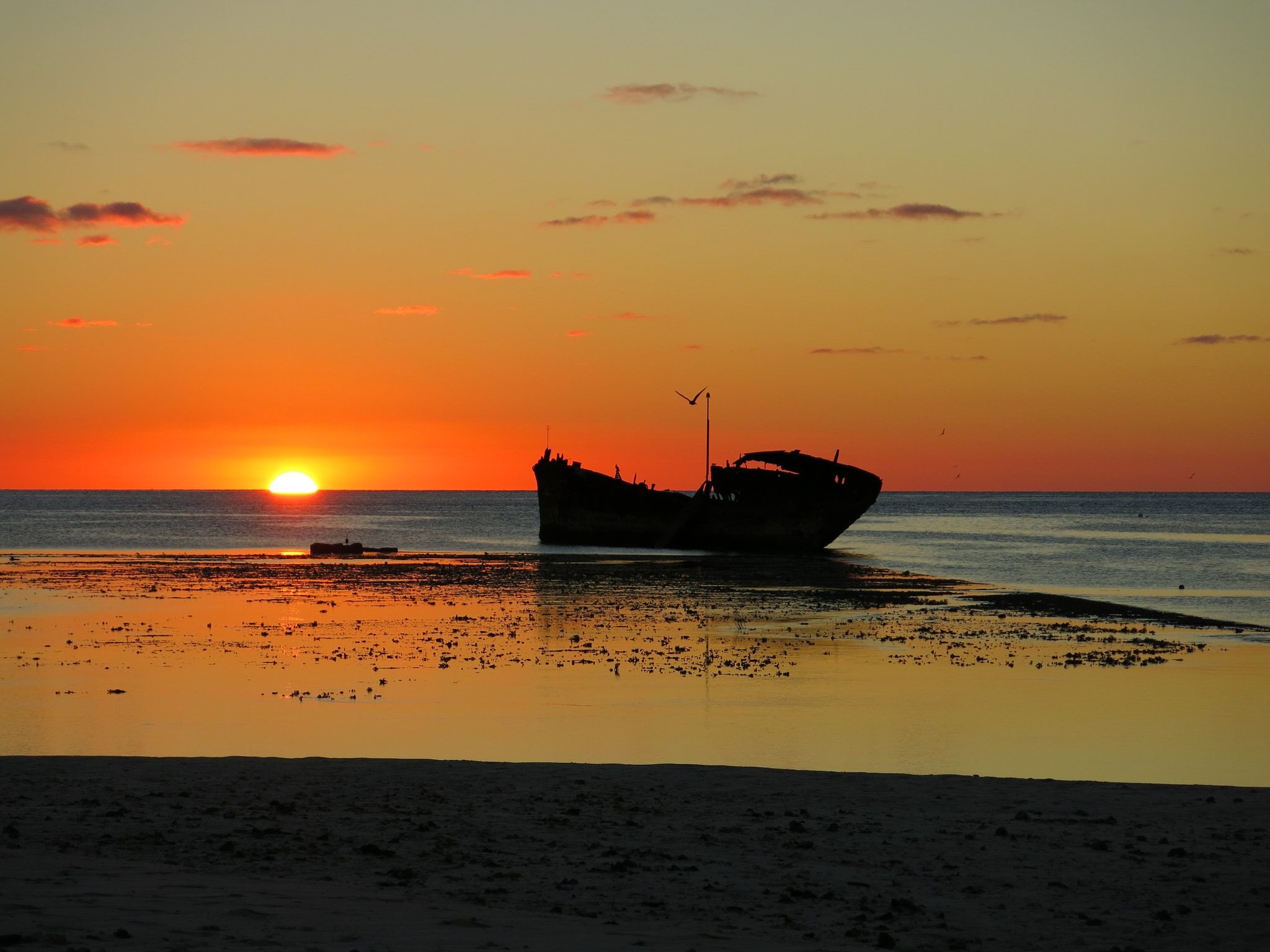 Heron Island sunset