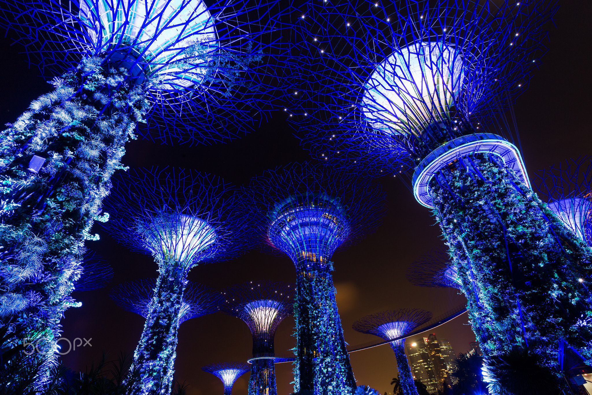 The Supertree at Gardens by the Bay