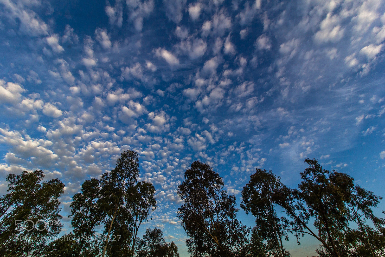 Canon EOS 60D sample photo. Gathering clouds photography