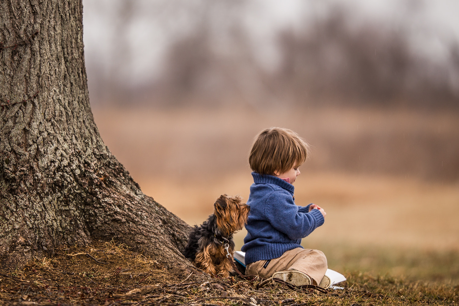 Friendly Tree