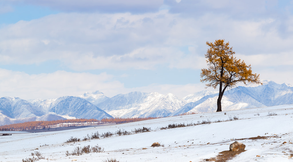 Eastern Sayan Mountains. Mongolia/ by Vitalii Verevkin on 500px.com