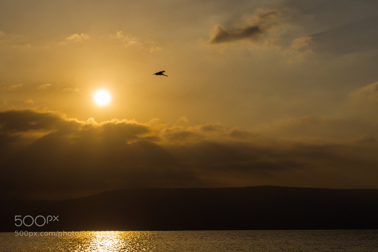 Canon EOS 60D sample photo. Untitled photography