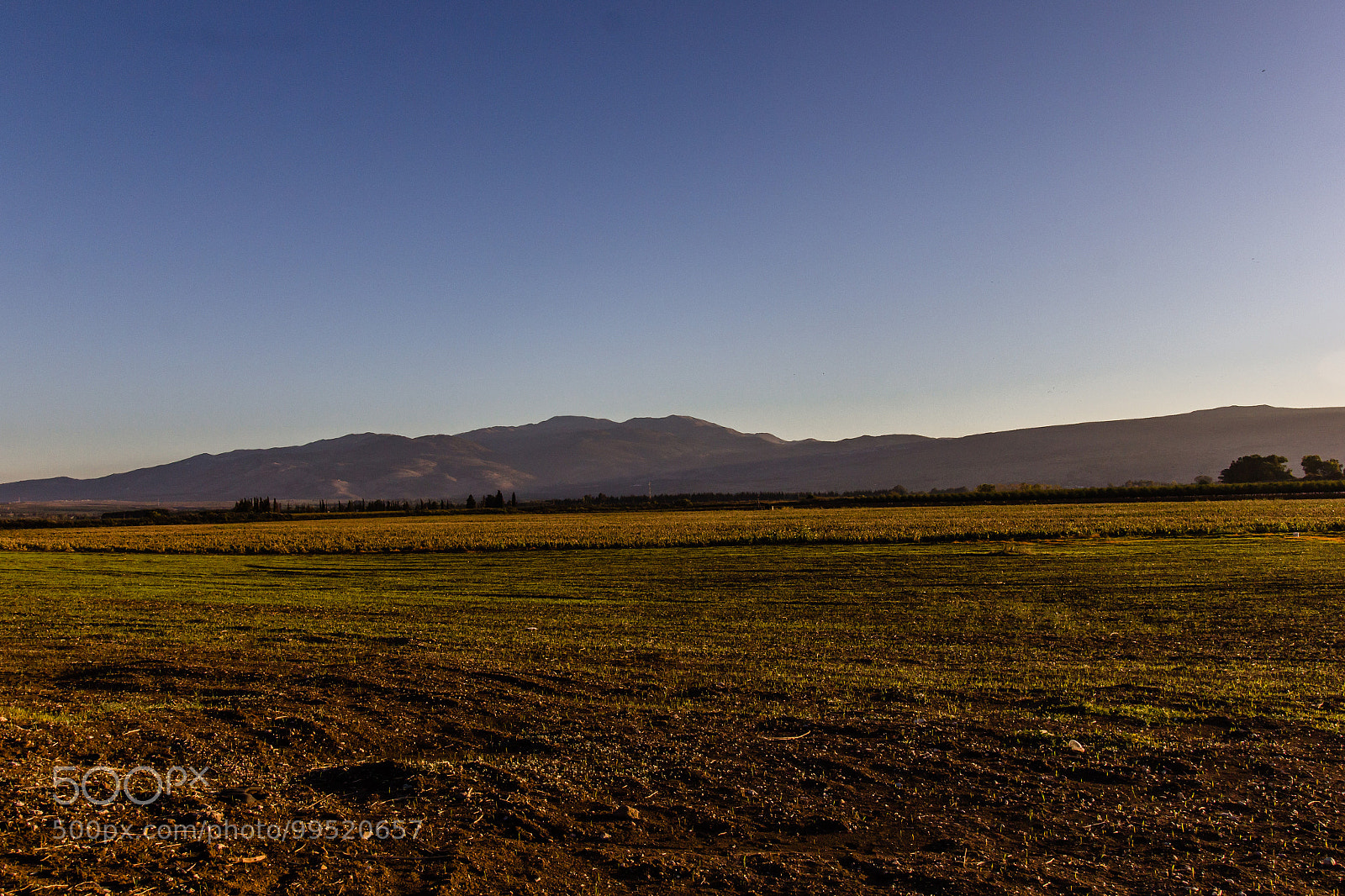 Canon EOS 60D sample photo. Hula valley photography