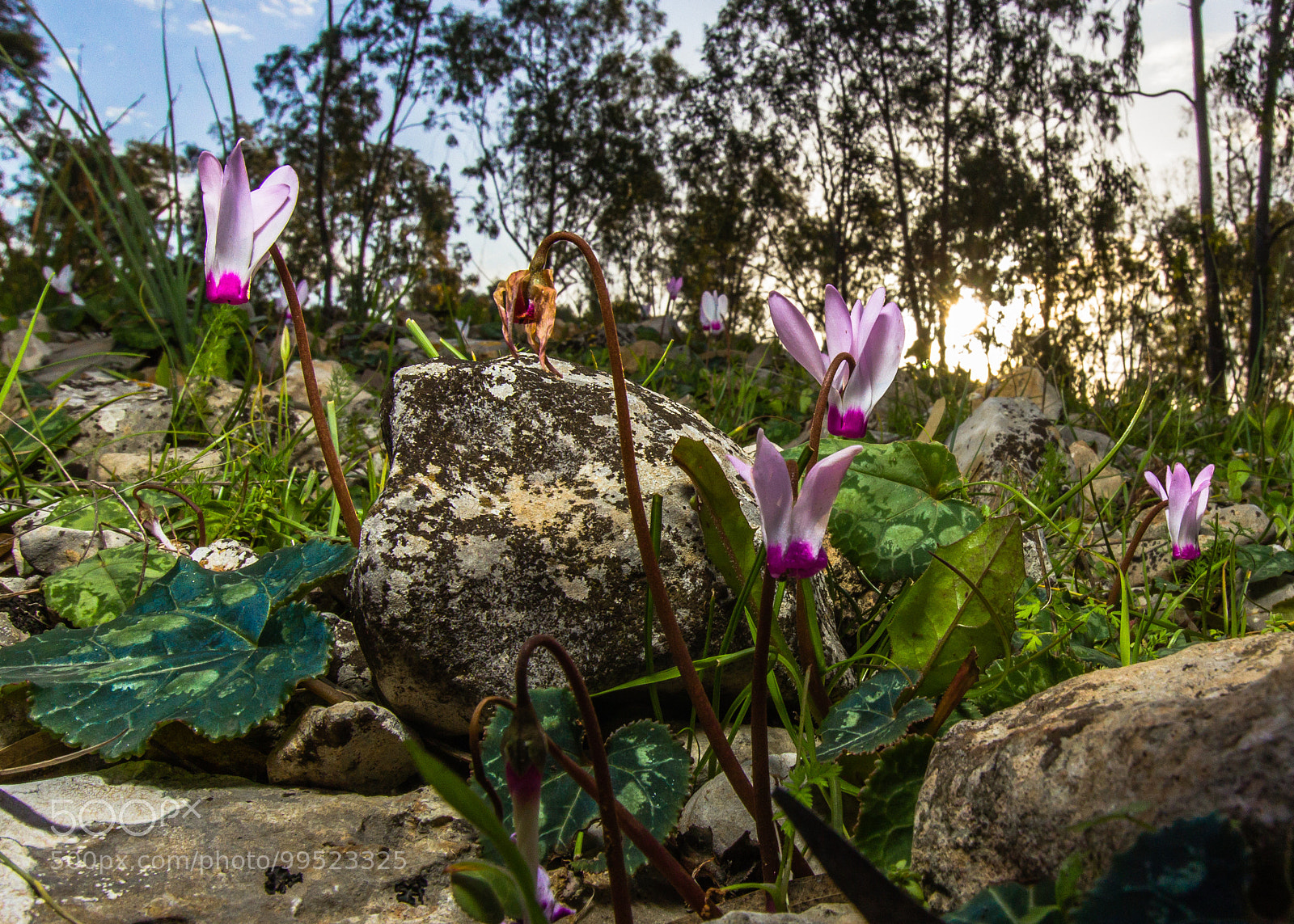 Canon EOS 60D sample photo. Untitled photography