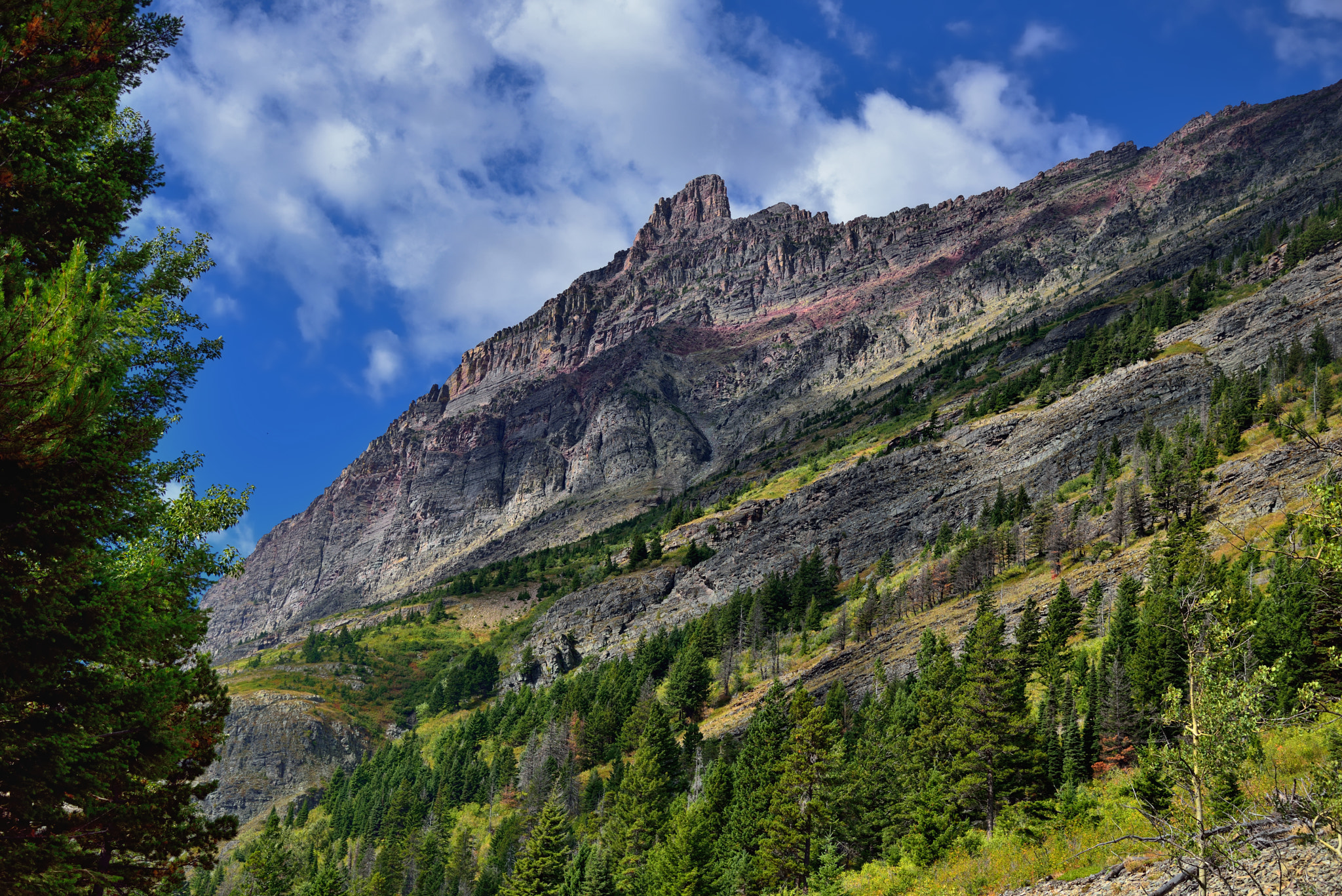 Looking up a Mountainside