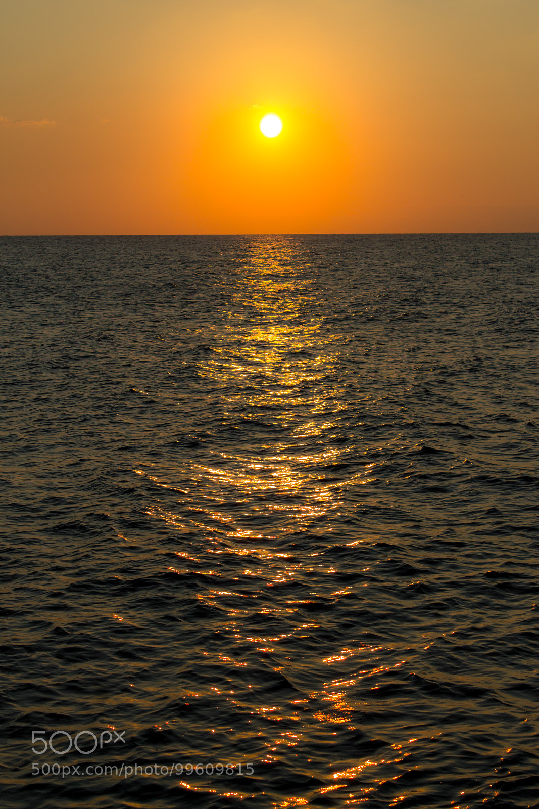 Canon EOS 1100D (EOS Rebel T3 / EOS Kiss X50) sample photo. Ray of sun photography