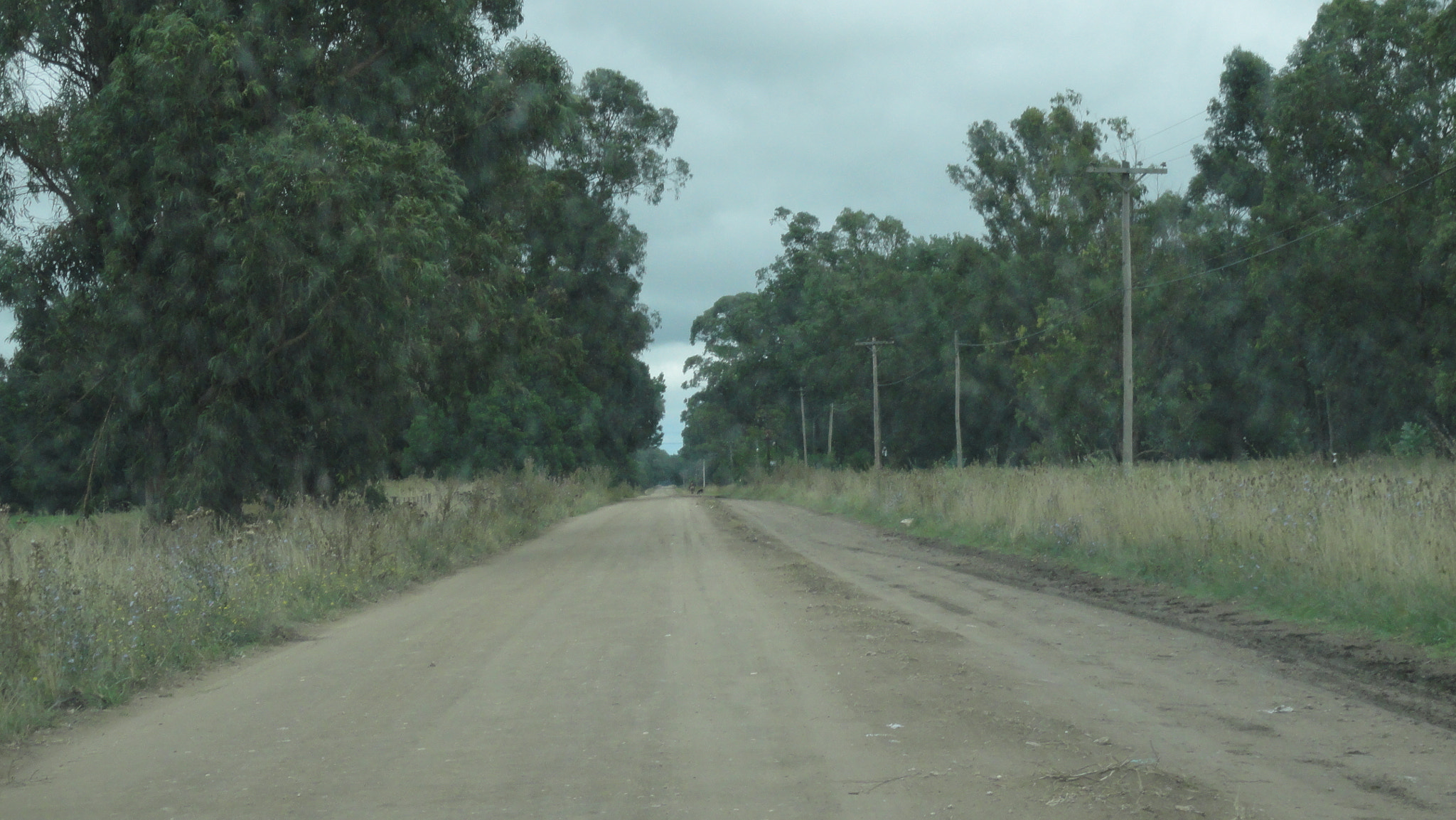 Calle de Acceso desde ruta()