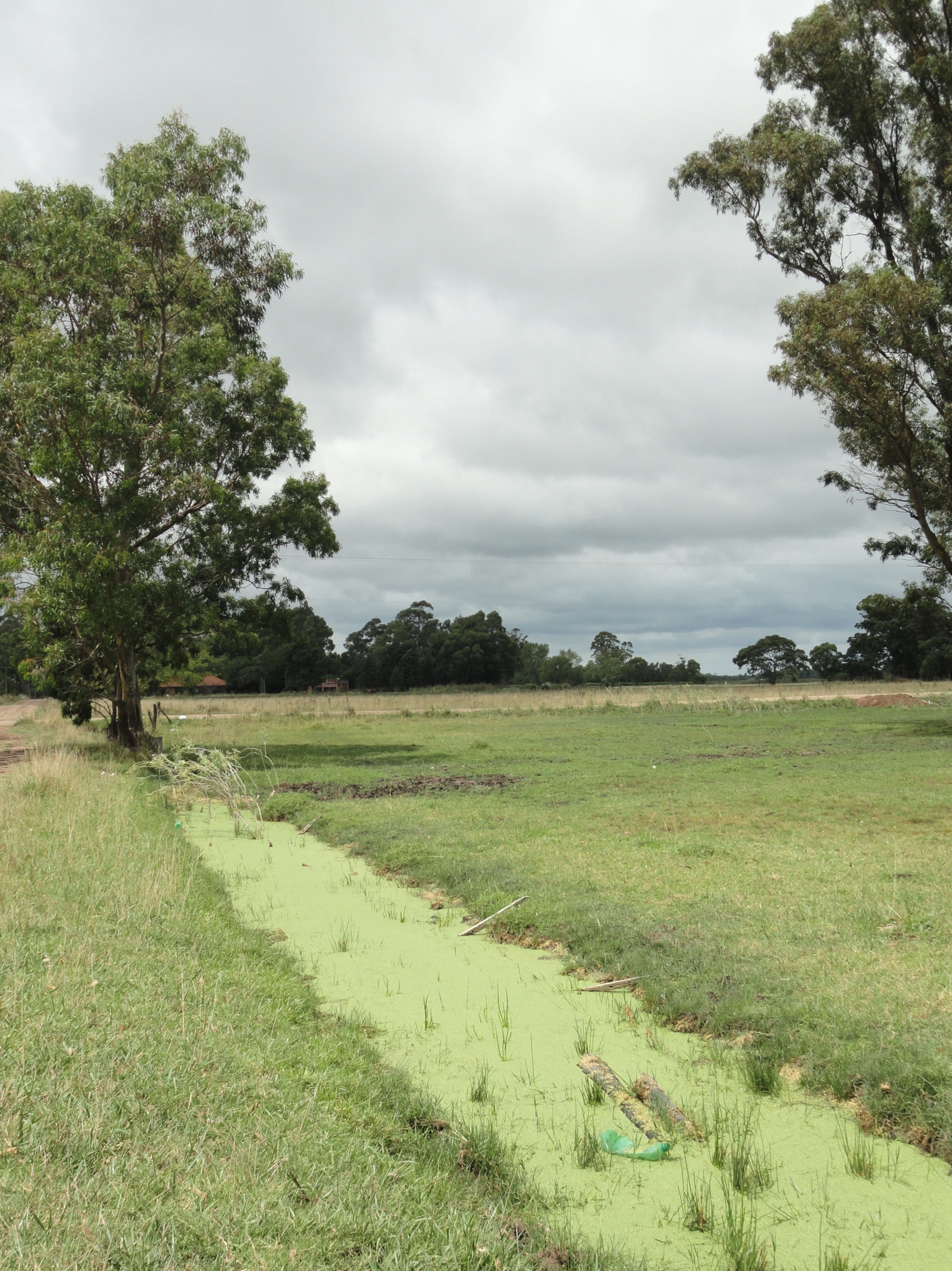 Terreno vista al Este (vecino a mts)