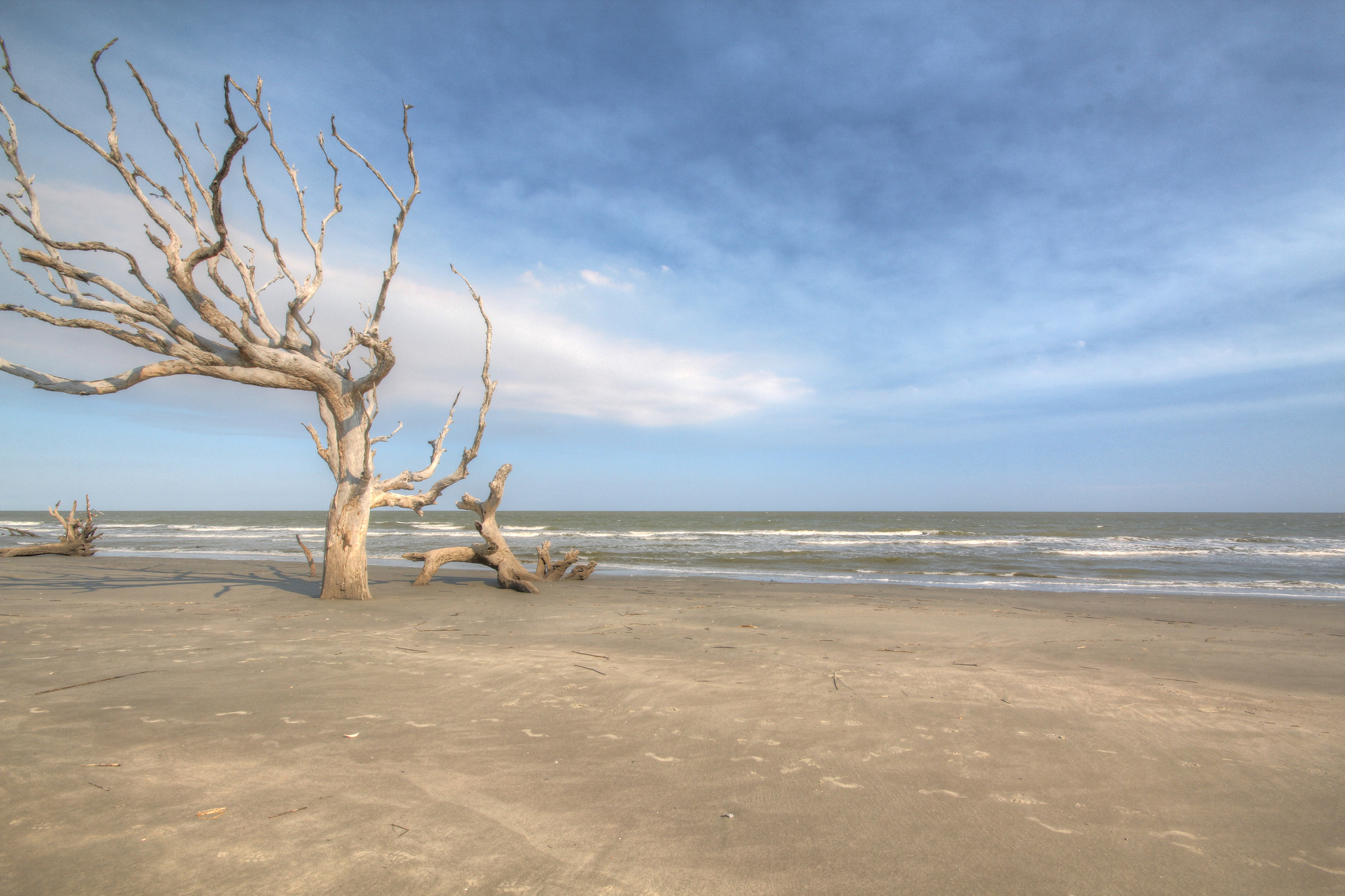 Bulls Island, SC. Boneyard Beach by Dave Halbig Photo 9974799 / 500px