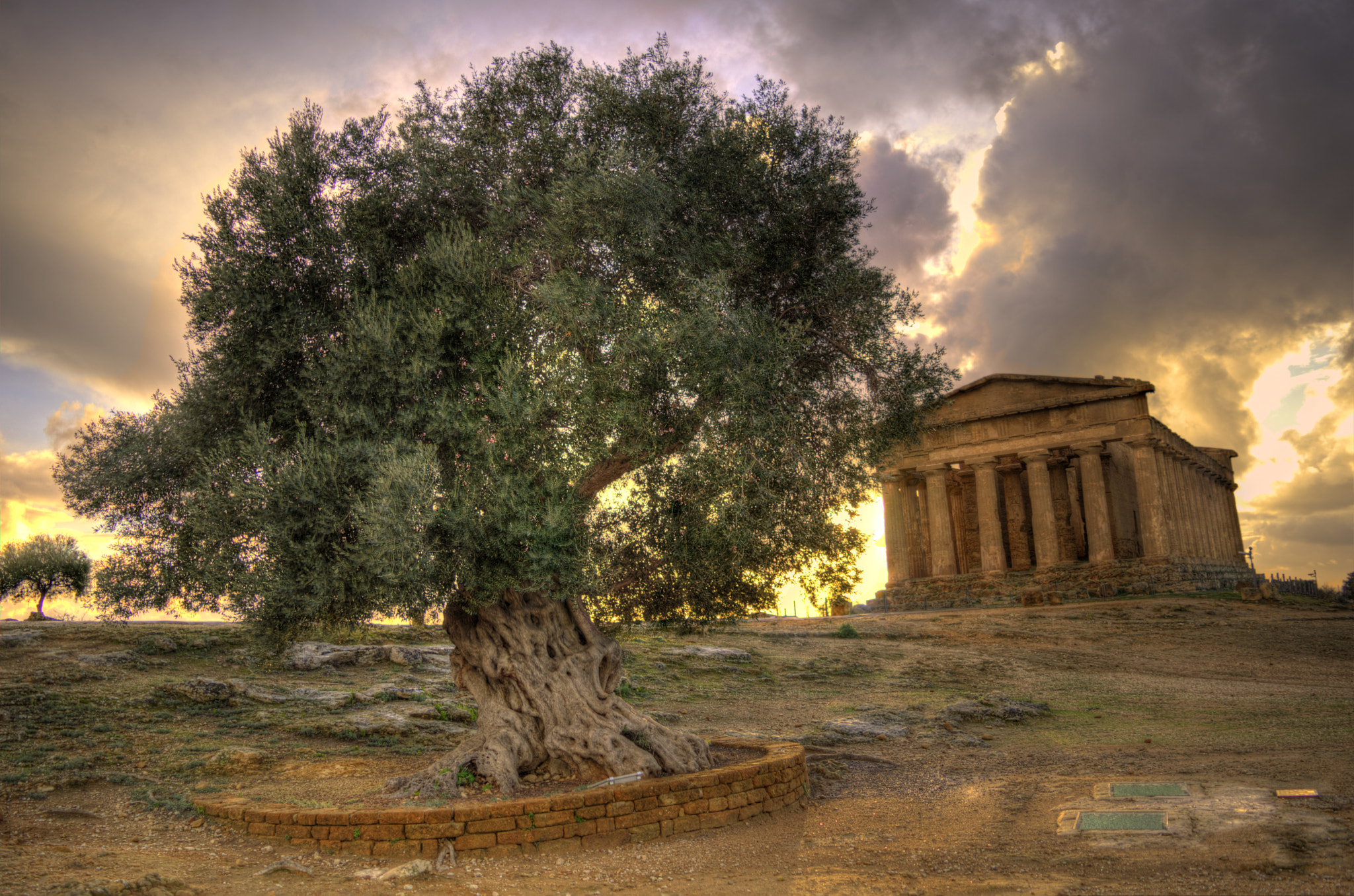 Temple of Concordia - Agrigento